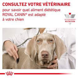 Royal Canin Veterinary Diet Dog Diabetic Special Low Carbohydrate