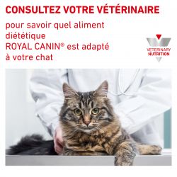Royal Canin Veterinary Diet Cat Urinary S/O