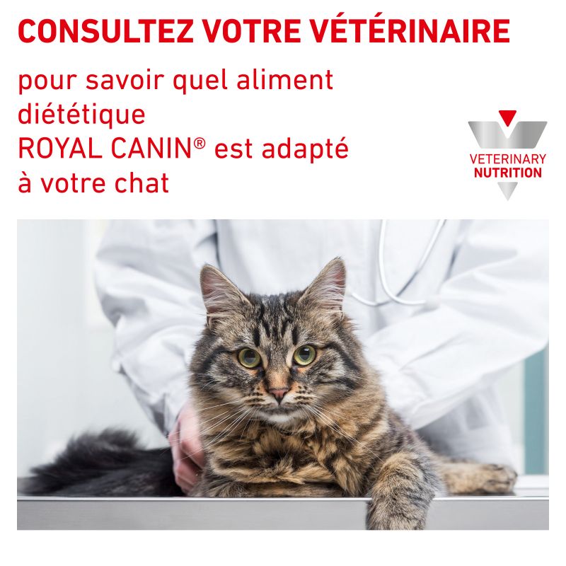 Royal Canin Veterinary Diet Cat Urinary S/O Royal Canin Veterinary Diet Cat Urinary S/O