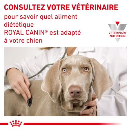 Royal Canin Veterinary Diet dog Urinary S/O Small dog Royal Canin Veterinary Diet dog Urinary S/O Small dog