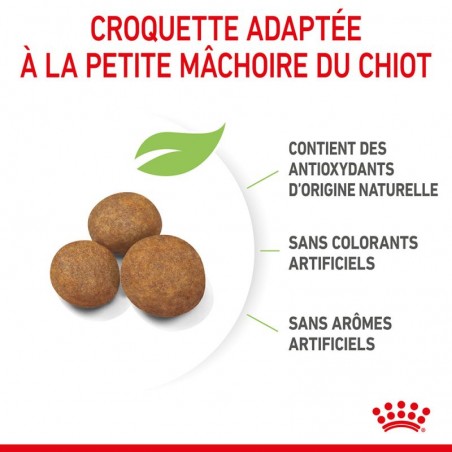 Royal Canin Dog Puppy Giant Royal Canin Dog Puppy Giant