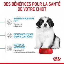 Royal Canin Dog Puppy Giant