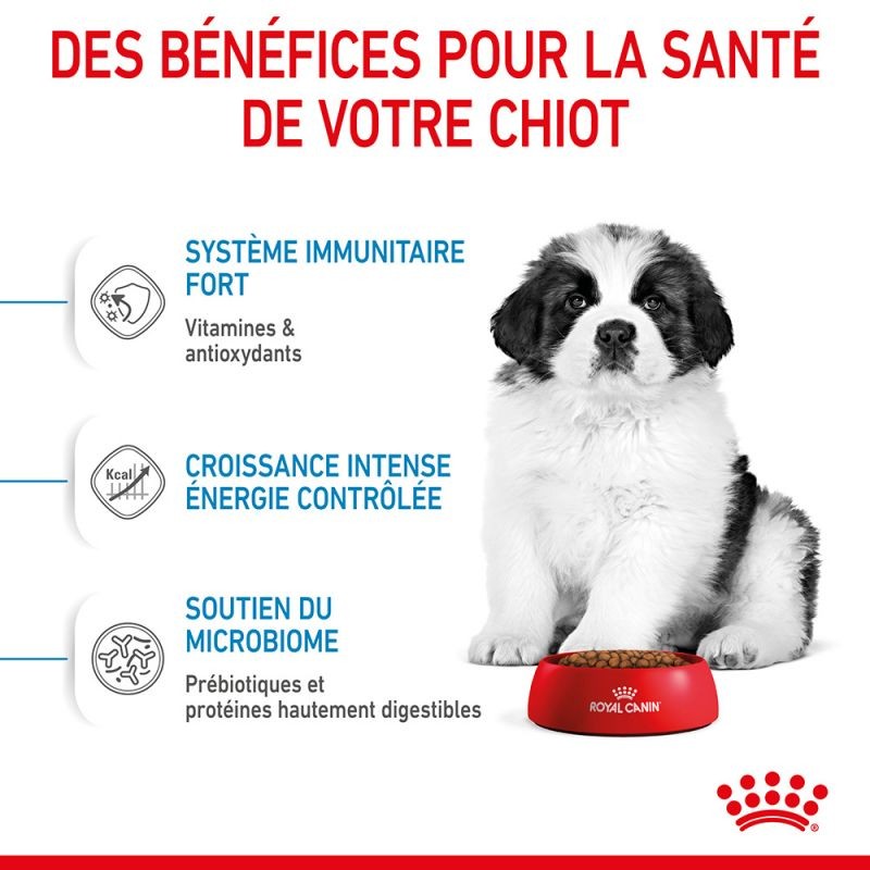 Royal Canin Dog Puppy Giant Royal Canin Dog Puppy Giant