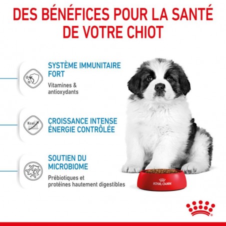 Royal Canin Dog Puppy Giant Royal Canin Dog Puppy Giant