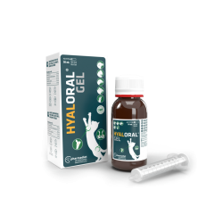 Hyaloral Gel pour chien,...