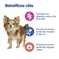 Hill's Vet Essentials Chien Multi Benefit Adult1+ S&M Agneau & Riz Sac de 2kg