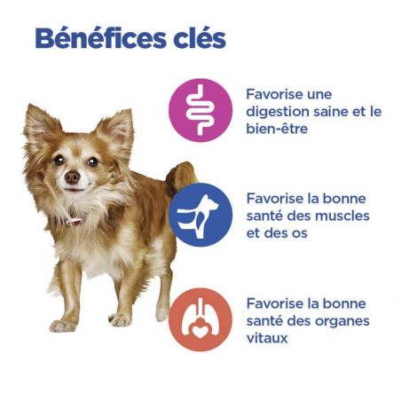 Hill's Vet Essentials Chien Multi Benefit Adult1+ S&M Agneau & Riz Sac de 2kg Hill's Vet Essentials Chien Multi Benefit Adult1+ S&M Agneau & Riz Sac de 2kg