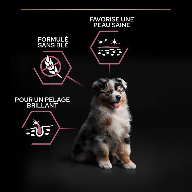 Purina Proplan Chien Puppy Medium Sensitive Skin OptiDerma au saumon Purina Proplan Chien Puppy Medium Sensitive Skin OptiDerma au saumon