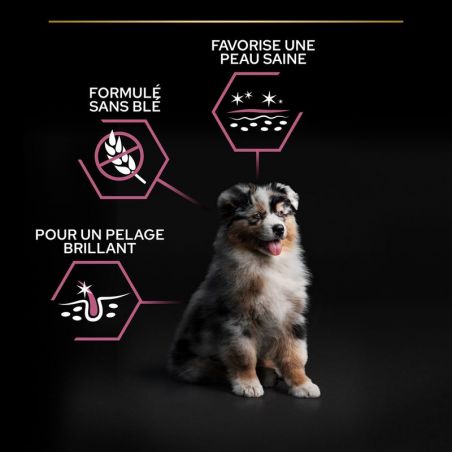 Purina Proplan Chien Puppy Medium Sensitive Skin OptiDerma au saumon Purina Proplan Chien Puppy Medium Sensitive Skin OptiDerma au saumon