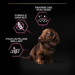 Purina Proplan Chien Puppy Small & Mini Sensitive skin Optiderma au saumon