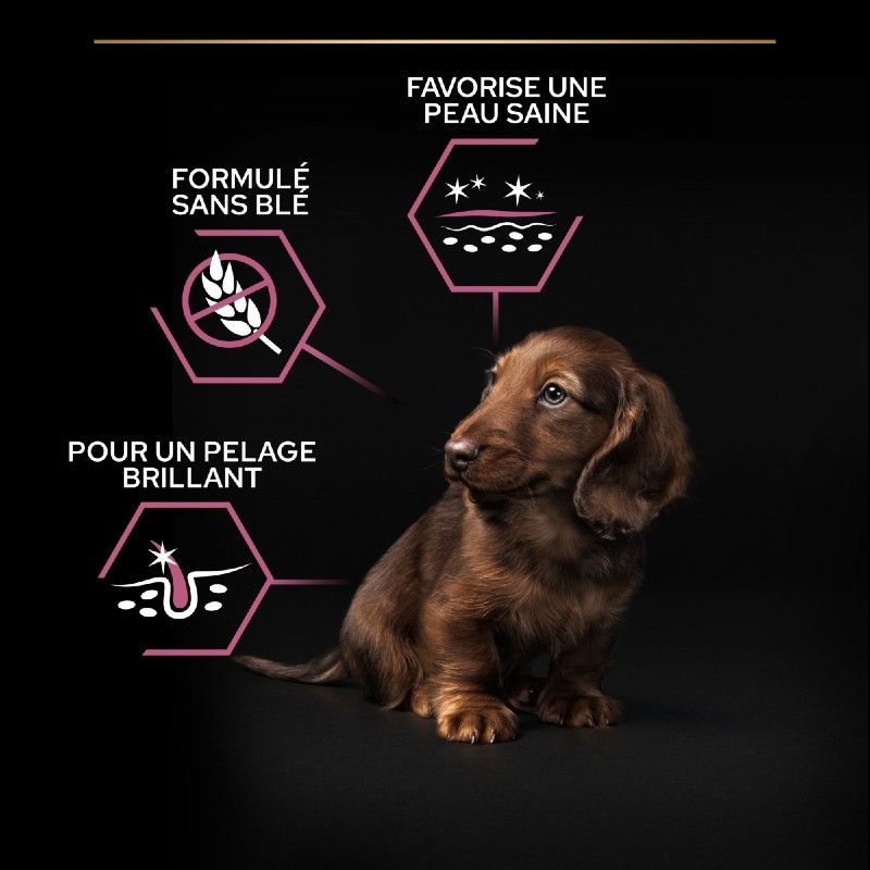 Purina Proplan Chien Puppy Small & Mini Sensitive skin Optiderma au saumon Purina Proplan Chien Puppy Small & Mini Sensitive skin Optiderma au saumon