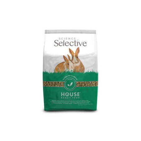 Science Selective House Rabbit