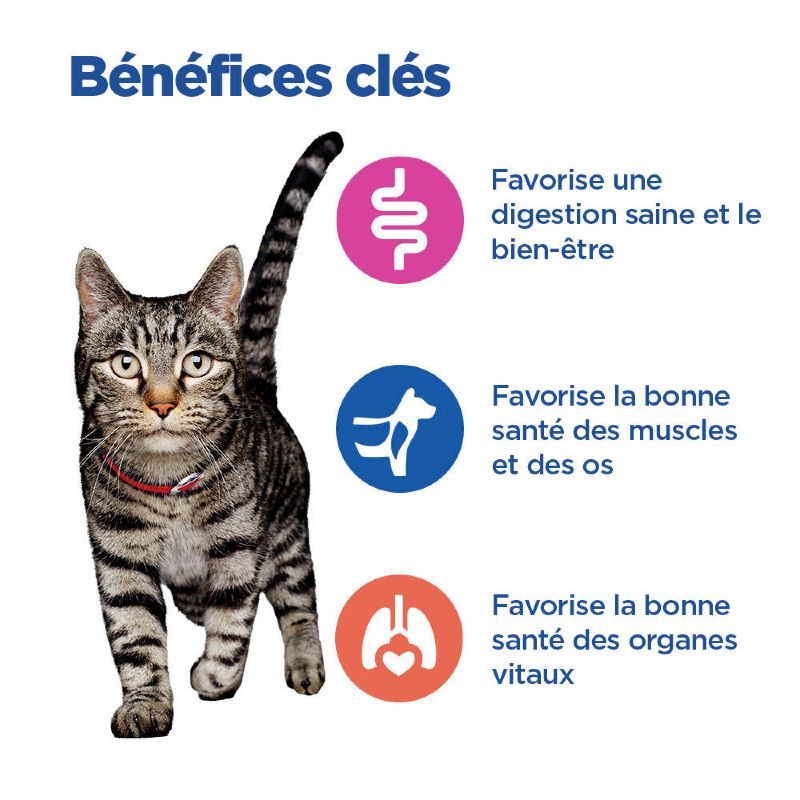 Hill's Vet Essentials Chat Multi Benefit Adult Poulet - 12 sachets repas de 85 g Hill's Vet Essentials Chat Multi Benefit Adult Poulet - 12 sachets repas de 85 g