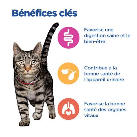 Hill's Vet Essentials Chat Multi Benefit Mature Adult 7+ au poulet - 12 sachets repas de 85 g Hill's Vet Essentials Chat Multi Benefit Mature Adult 7+ au poulet - 12 sachets repas de 85 g
