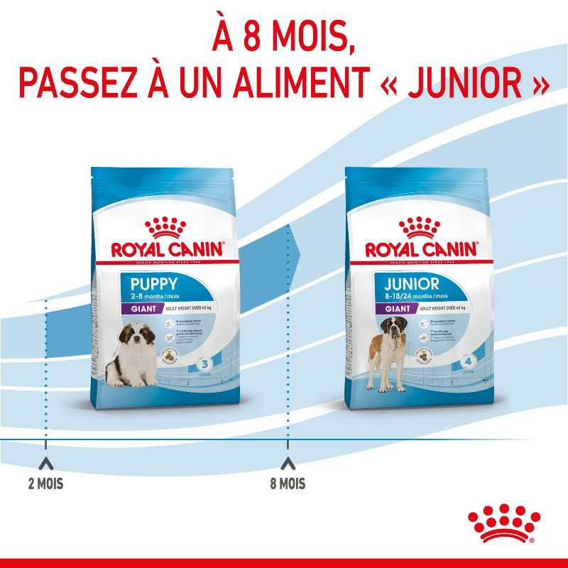 Royal Canin Dog Puppy Giant Royal Canin Dog Puppy Giant