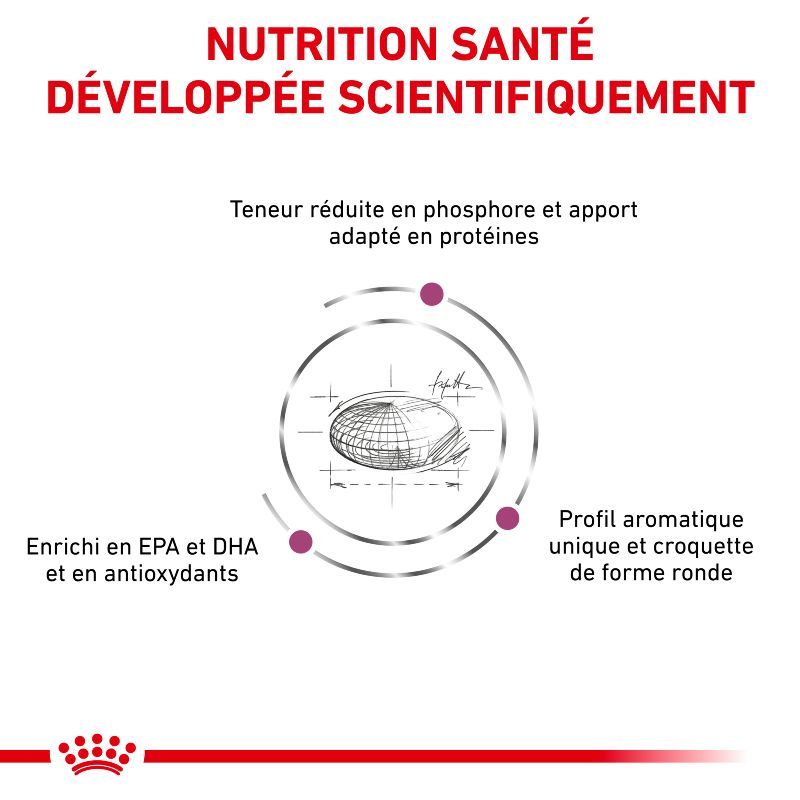 Royal Canin Veterinary Diet Cat Renal Royal Canin Veterinary Diet Cat Renal