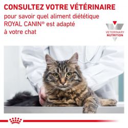 Royal Canin Veterinary Diet Cat Renal