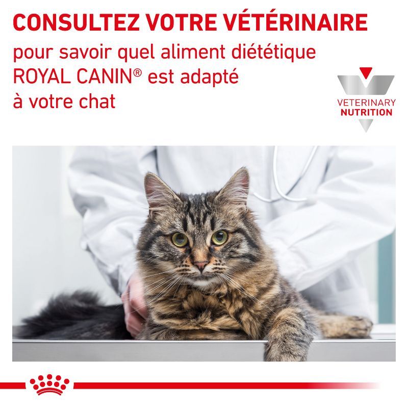 Royal Canin Veterinary Diet Cat Renal Royal Canin Veterinary Diet Cat Renal