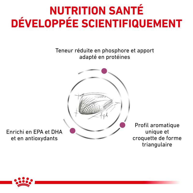 Royal Canin Veterinary Diet Cat Renal Special Royal Canin Veterinary Diet Cat Renal Special