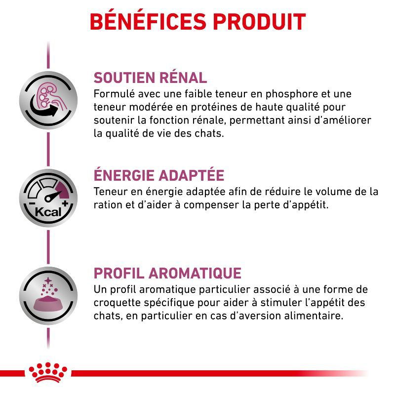 Royal Canin Veterinary Diet Cat Renal Special Royal Canin Veterinary Diet Cat Renal Special