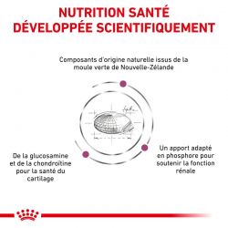 Royal Canin Veterinary Diet Cat Mobility - Sac de 2 kg