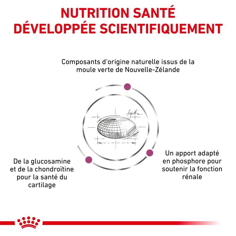 Royal Canin Veterinary Diet Cat Mobility - Sac de 2 kg Royal Canin Veterinary Diet Cat Mobility - Sac de 2 kg