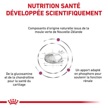 Royal Canin Veterinary Diet Cat Mobility - Sac de 2 kg Royal Canin Veterinary Diet Cat Mobility - Sac de 2 kg