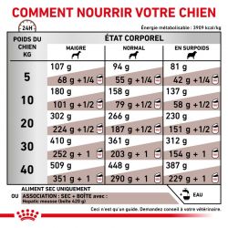 Royal Canin Veterinary Diet Dog Hepatic