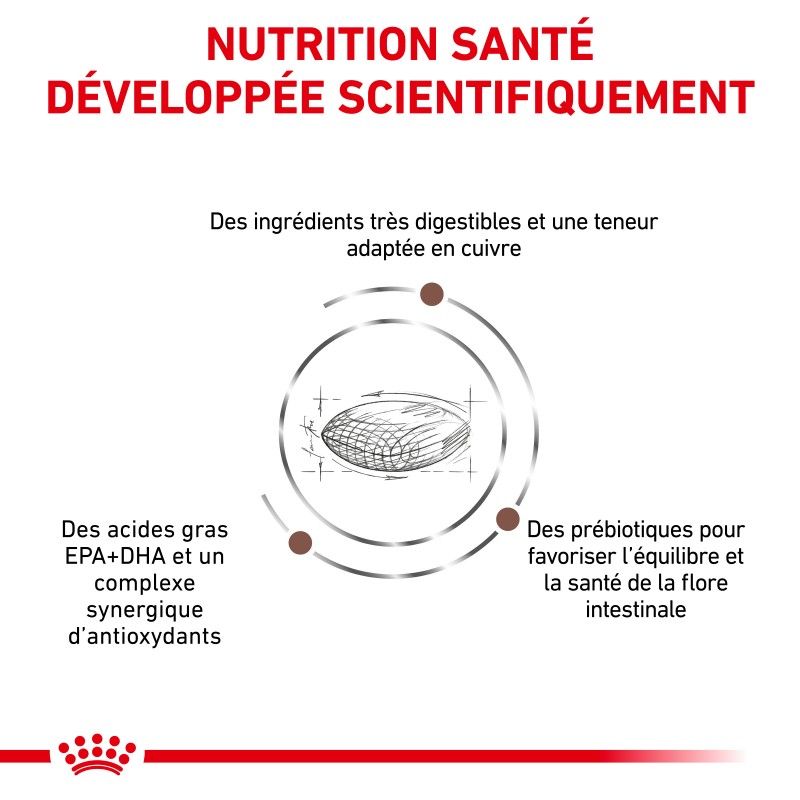Royal Canin Veterinary Diet Dog Hepatic Royal Canin Veterinary Diet Dog Hepatic