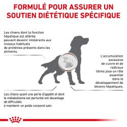 Royal Canin Veterinary Diet Dog Hepatic