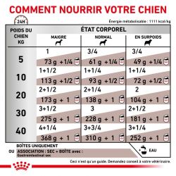 Royal Canin Veterinary Health Dog Gastro Intestinal boîtes