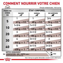 Royal Canin Veterinary Diet Dog Gastro Intestinal Low Fat - Boites