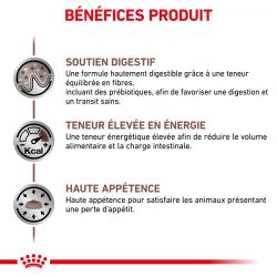 Royal Canin Veterinary Diet Dog Gastro Intestinal