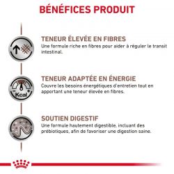 Royal Canin Veterinary Diet Dog Gastro Intestinal High Fibre Mousse