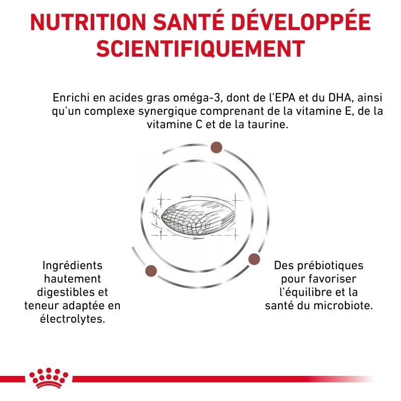 Royal Canin Veterinary Diet Dog Gastro Intestinal Low Fat Small Dog Royal Canin Veterinary Diet Dog Gastro Intestinal Low Fat Small Dog