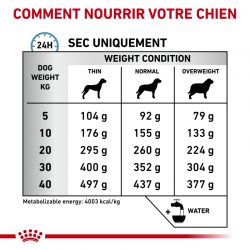 Royal Canin Dog Anallergenic