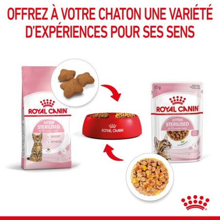 Royal Canin Kitten Sterilised émincé en gelée - 12 sachets de 85 g Royal Canin Kitten Sterilised émincé en gelée - 12 sachets de 85 g