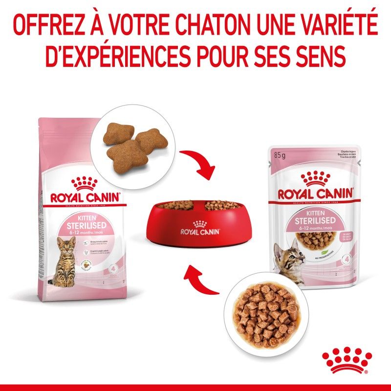 Royal Canin Kitten Sterilised Emincé en sauce - 12 sachets de 85 g Royal Canin Kitten Sterilised Emincé en sauce - 12 sachets de 85 g