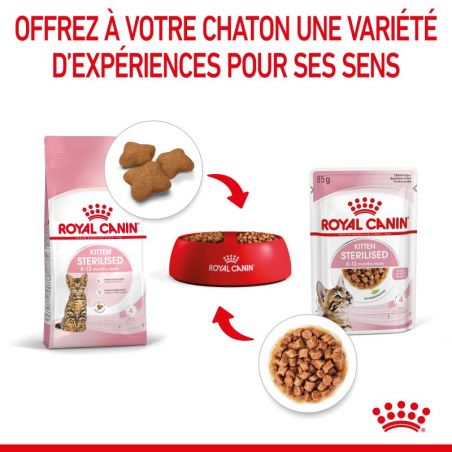 Royal Canin Kitten Sterilised Emincé en sauce - 12 sachets de 85 g Royal Canin Kitten Sterilised Emincé en sauce - 12 sachets de 85 g