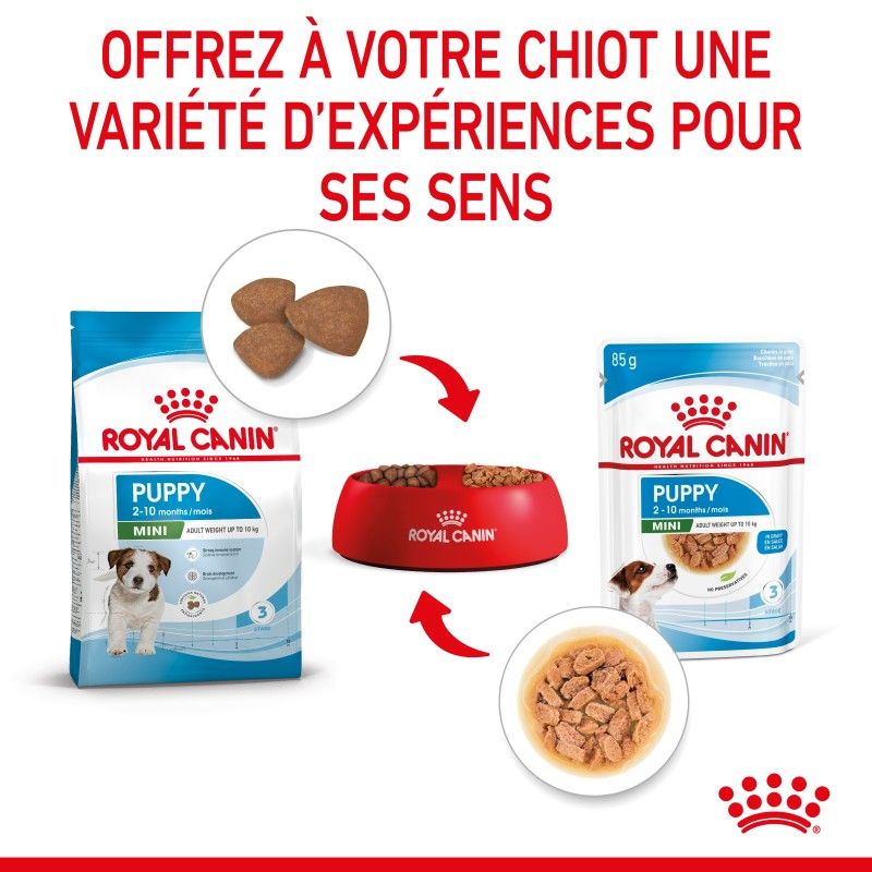 Royal Canin Mini Puppy en sauce 12 sachets de 85 g