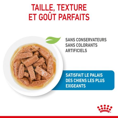 Royal Canin Maxi Puppy Sauce pour chiot - 10 sachets de 140 g Royal Canin Maxi Puppy Sauce pour chiot - 10 sachets de 140 g