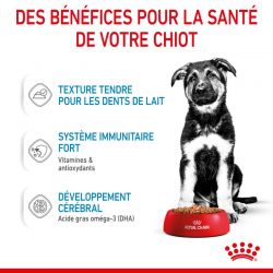 Royal Canin Maxi Puppy Sauce pour chiot - 10 sachets de 140 g