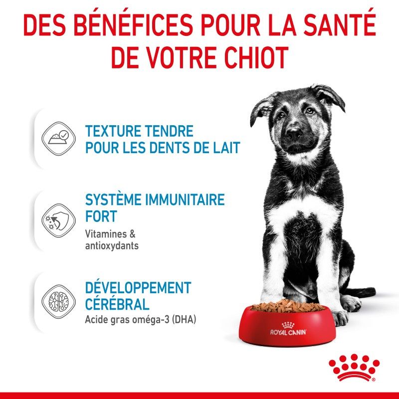 Royal Canin Maxi Puppy Sauce pour chiot - 10 sachets de 140 g Royal Canin Maxi Puppy Sauce pour chiot - 10 sachets de 140 g