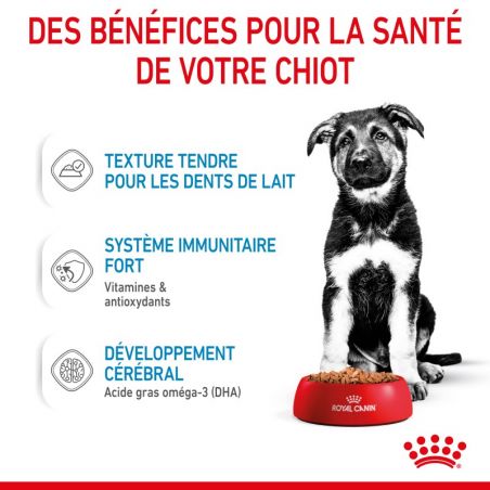 Royal Canin Maxi Puppy Sauce pour chiot - 10 sachets de 140 g Royal Canin Maxi Puppy Sauce pour chiot - 10 sachets de 140 g