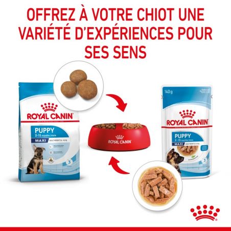 Royal Canin Maxi Puppy Sauce pour chiot - 10 sachets de 140 g Royal Canin Maxi Puppy Sauce pour chiot - 10 sachets de 140 g