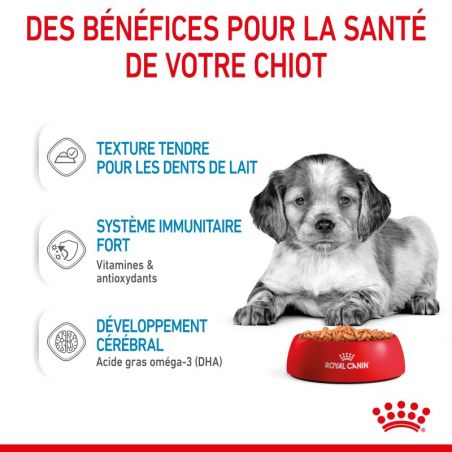 Royal Canin Dog Puppy Medium Bouchées en Sauce 10 sachets de 140 g Royal Canin Dog Puppy Medium Bouchées en Sauce 10 sachets de 140 g