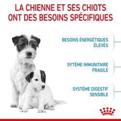 Royal Canin Dog Starter Mother & Babydog Mini