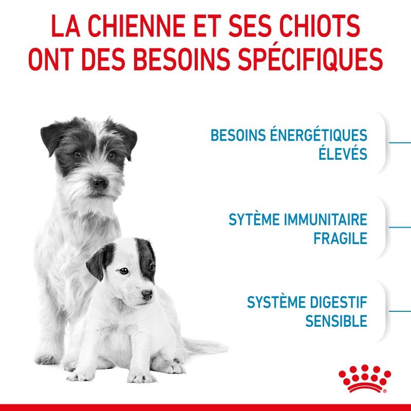 Royal Canin Dog Starter Mother & Babydog Mini Royal Canin Dog Starter Mother & Babydog Mini