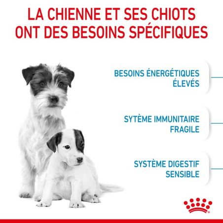 Royal Canin Dog Starter Mother & Babydog Mini Royal Canin Dog Starter Mother & Babydog Mini