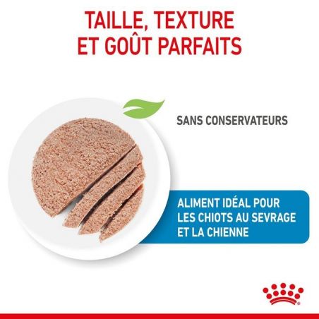 Royal Canin Starter Mother & Babydog en mousse 12 boîte de 195g Royal Canin Starter Mother & Babydog en mousse 12 boîte de 195g